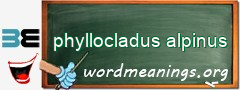 WordMeaning blackboard for phyllocladus alpinus